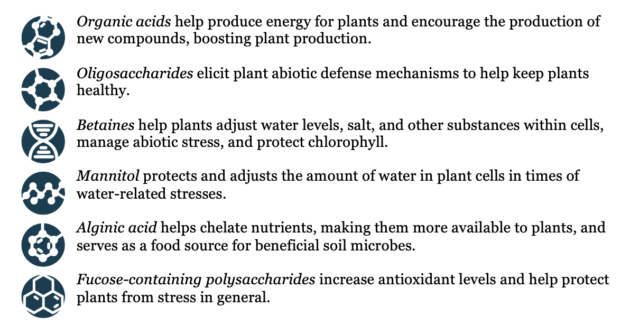 Benefits of bioactive compounds bulletpoints